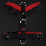 Recon Harness