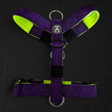 Recon Harness