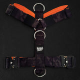 Recon Harness