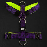 Recon Harness