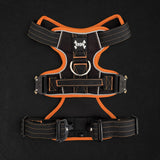 Riot Harness