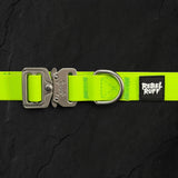 Vanguard Collar