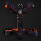 Recon Harness