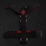 Recon Harness