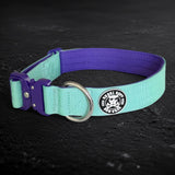 Recon Collar