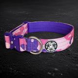 Recon Collar