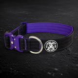 Recon Collar