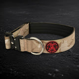 Recon Collar