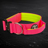 Riot Collar