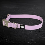 Vanguard Collar