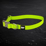 Vanguard Collar