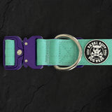 Recon Collar