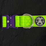 Recon Collar