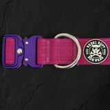 Recon Collar