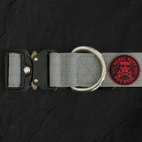 Recon Collar