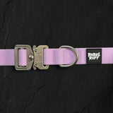 Vanguard Collar