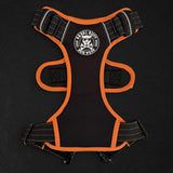 Riot Harness