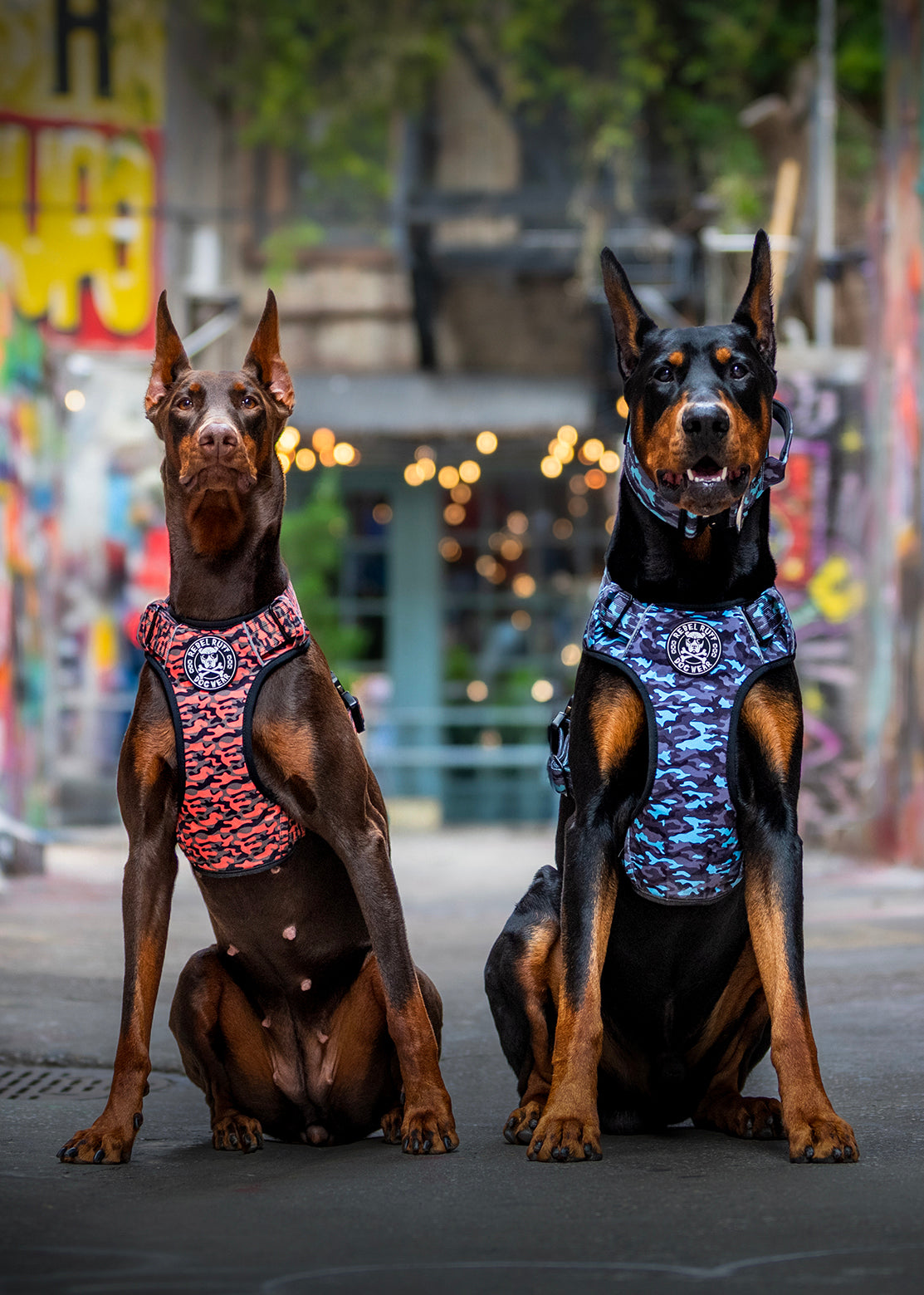 BUILT FOR REBELS.                           DESIGNED FOR DOGS.